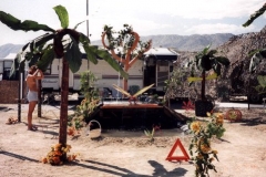 C6