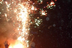 IM002009
