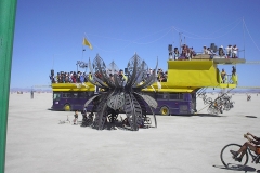 IM001155