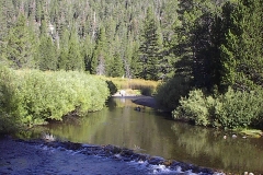 IM001272