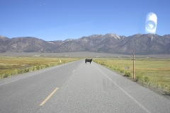 IM001278