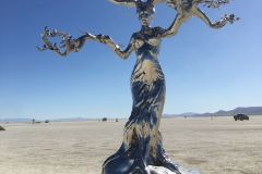 IMG_8025-1
